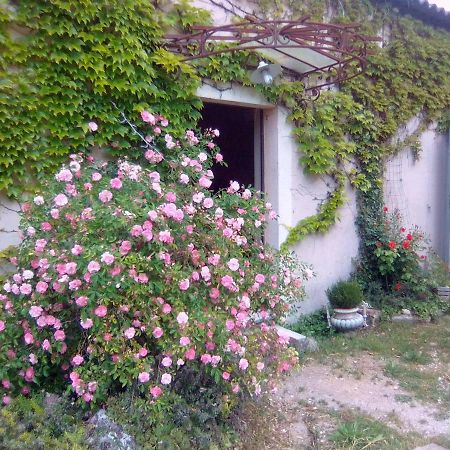 Le Domaine De Belle LʼIsle-sur-la-Sorgue Exterior foto
