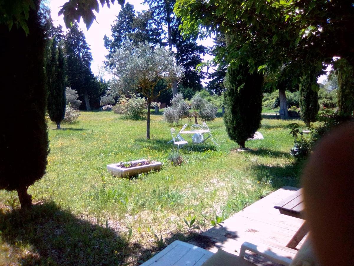 Le Domaine De Belle LʼIsle-sur-la-Sorgue Exterior foto